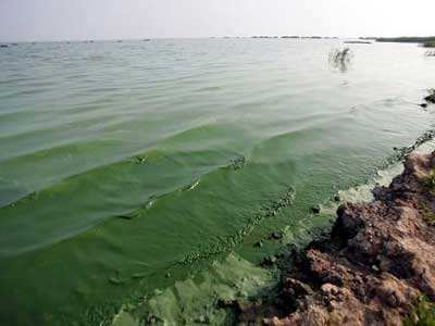 第三方水質(zhì)檢測公司 第三方水質(zhì)檢測公司