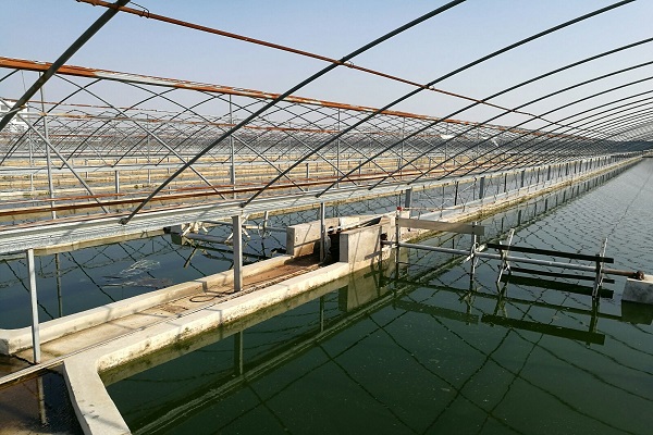 漁業(yè)養(yǎng)殖水質(zhì)檢測(cè)